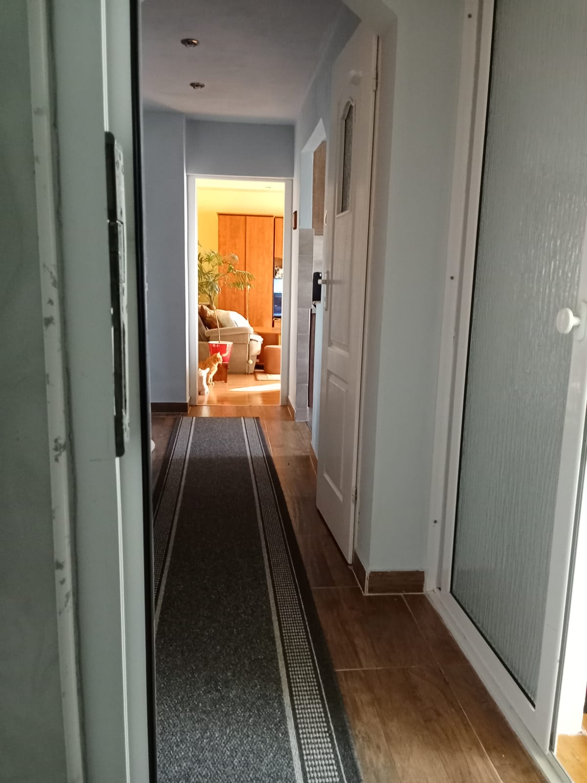 9a3cb607-9637-4aff-8365-7314c4fbce89